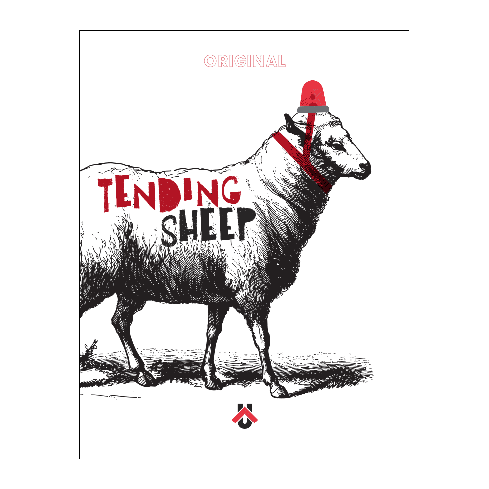 Tending Sheep