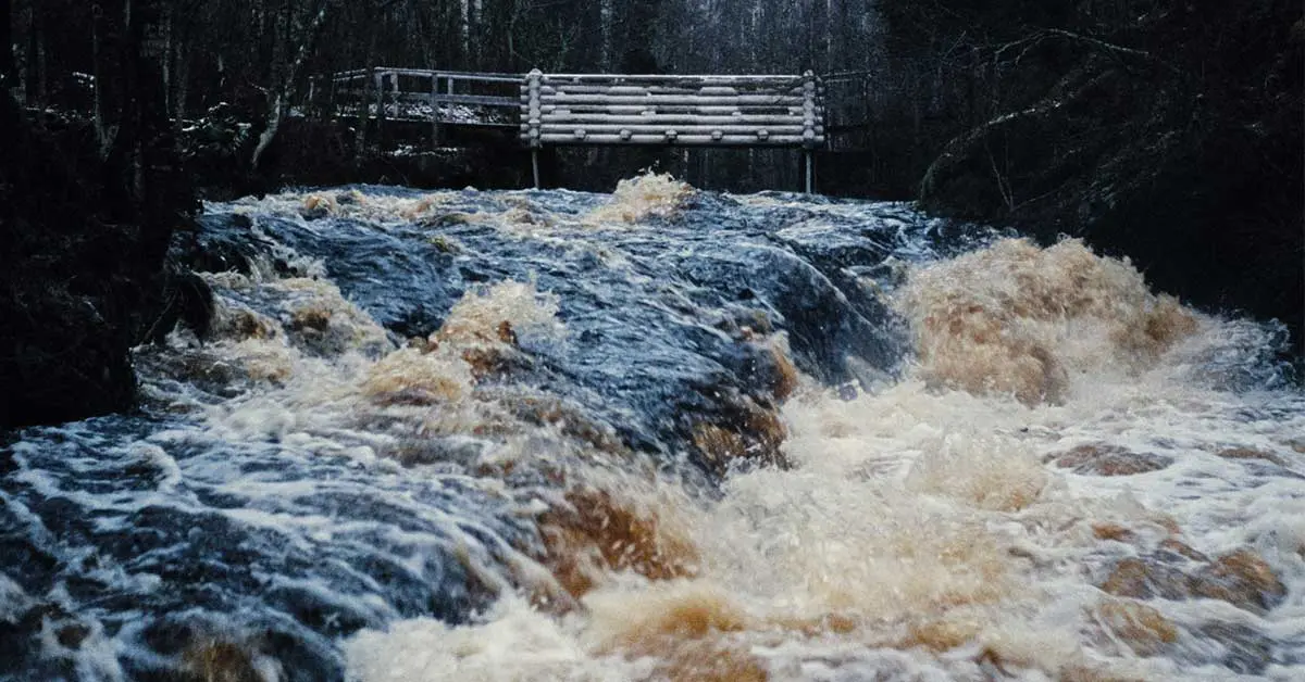 Open The Floodgates
