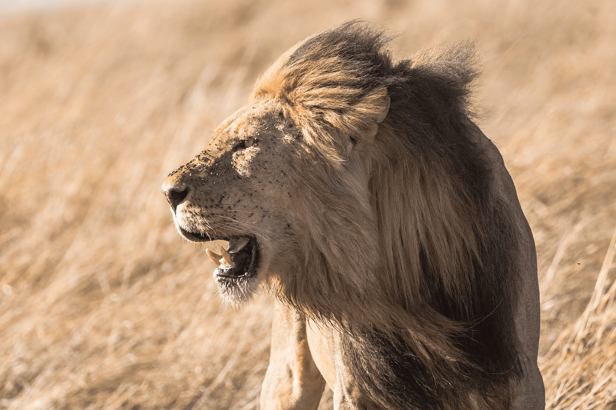 How To Be A Leader