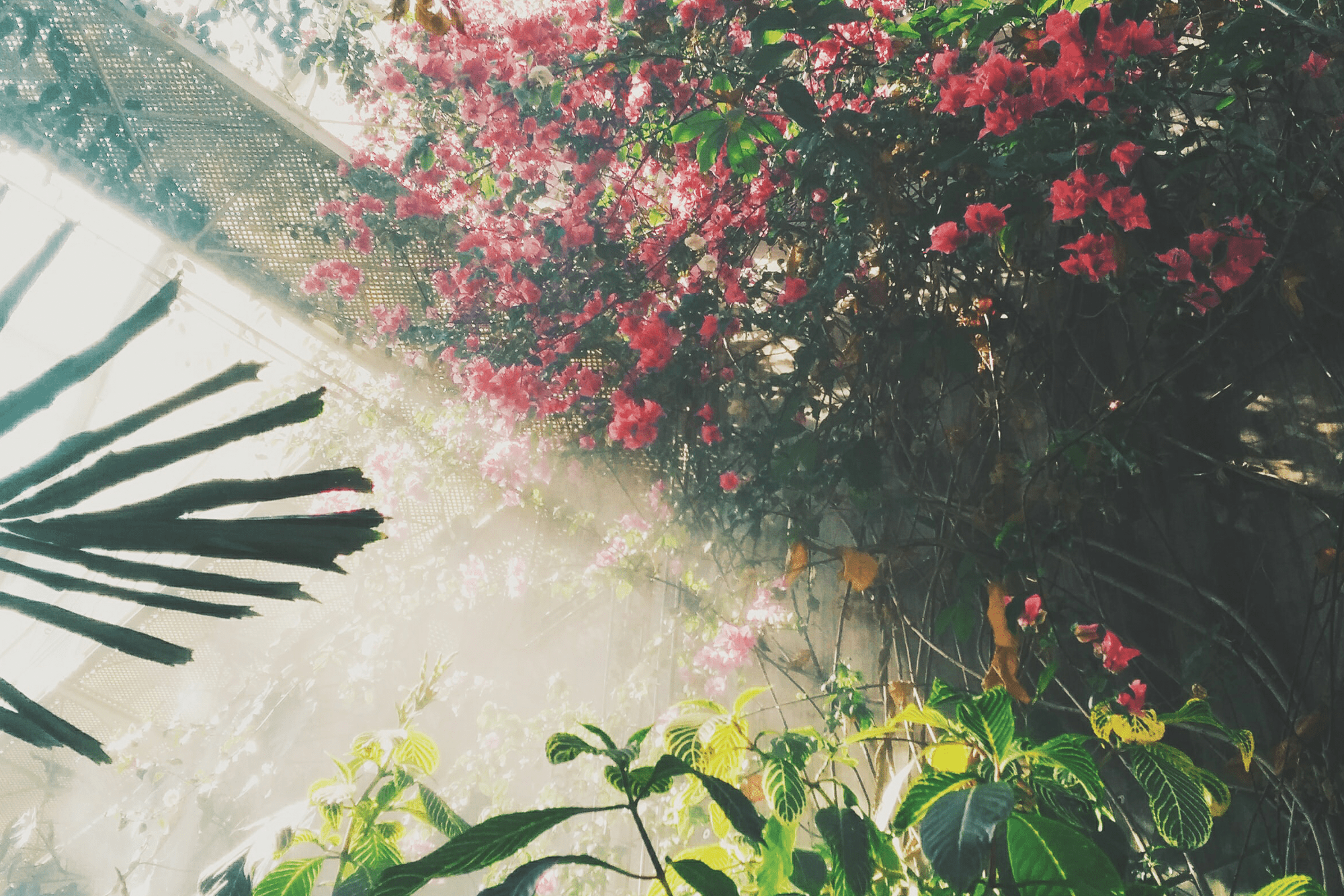 Our Garden of Eden