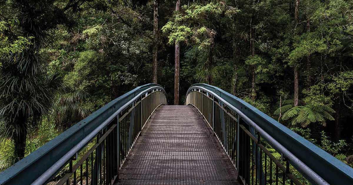 The New Normal and How God Works Through Trials
