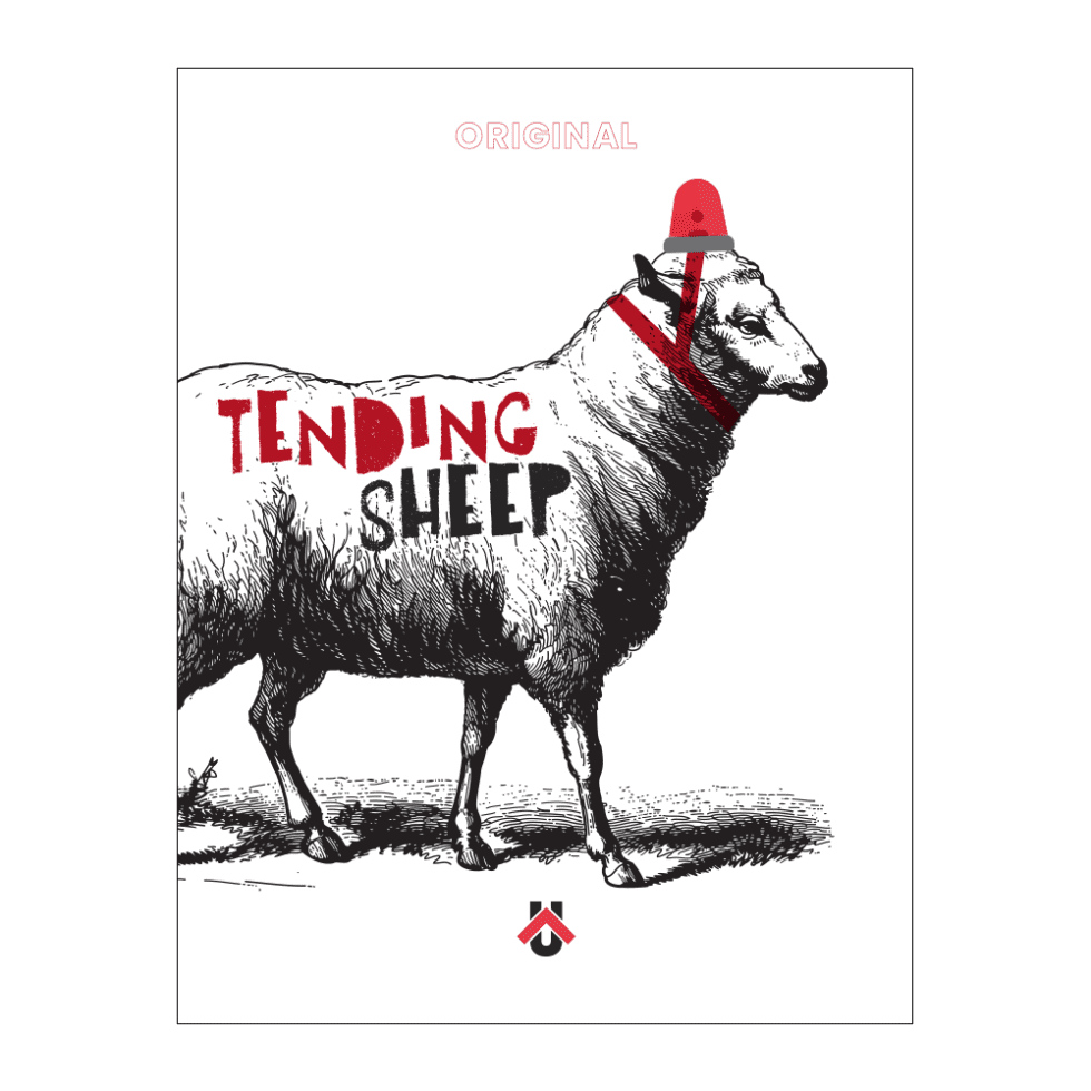 Tending Sheep UNCOMMEN tending-sheep-uncommen