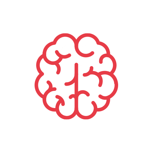 Brain